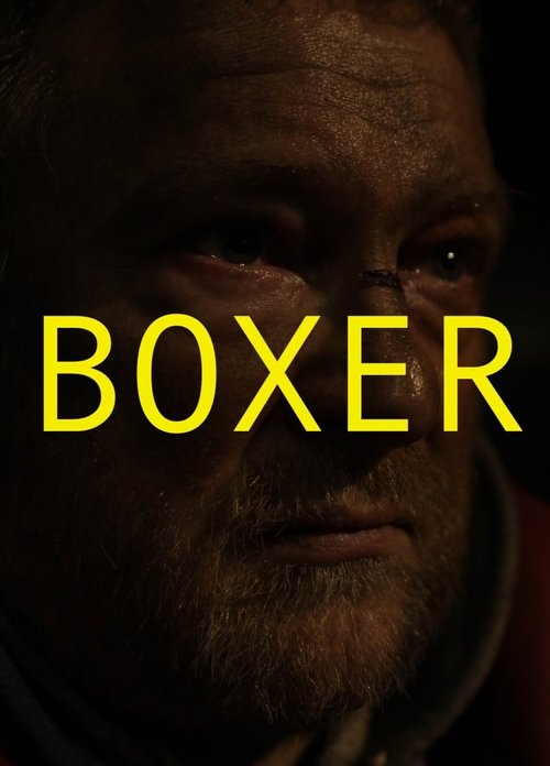 Boxer (2010) poster