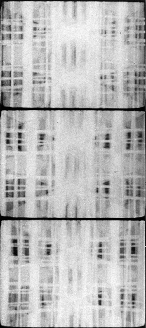 Maine Montparnasse (1972) poster