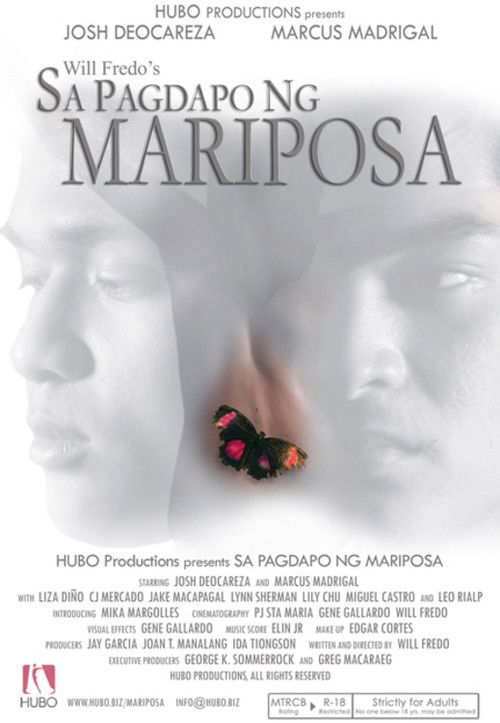 At the Touch of a Butterfly (2008) poster