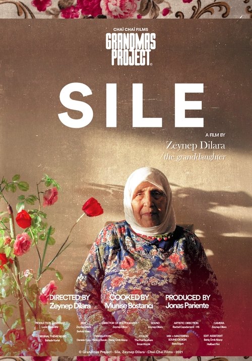 Şile (2022) poster