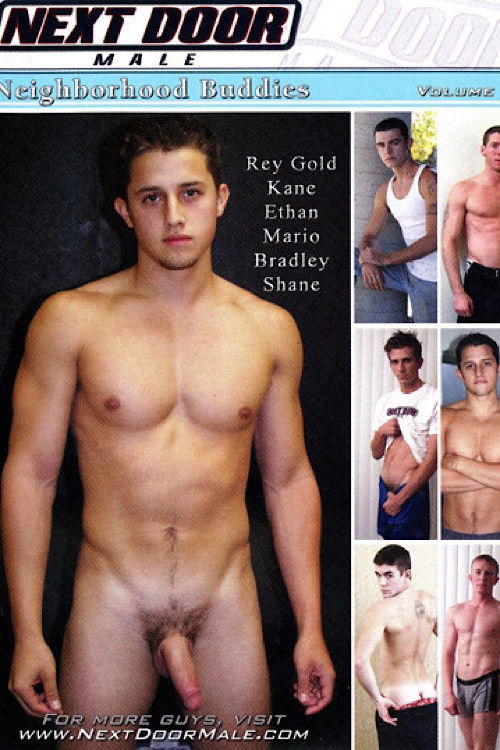 Neighborhood Buddies 5 (2007) poster