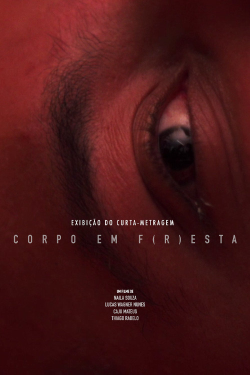 Corpo em F(r)esta poster