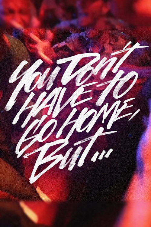 You Don’t Have to Go Home, But… (2024) poster