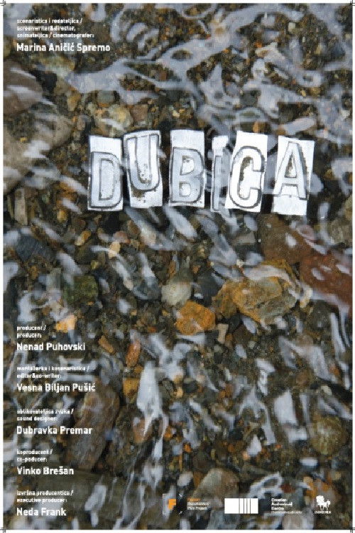 Dubica (2021) poster