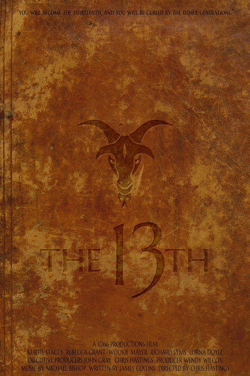 The 13th (2017) poster