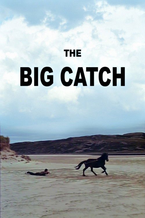 The Big Catch (1968) poster
