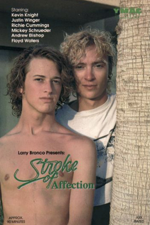 Stroke of Affection (1990) poster