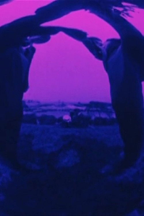 Looney Lens: Pas de deux (1924) poster