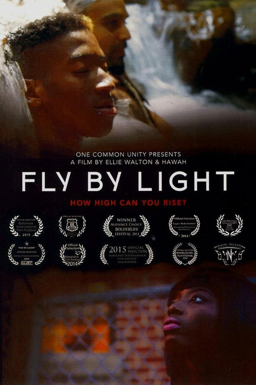 Fly by Light poster