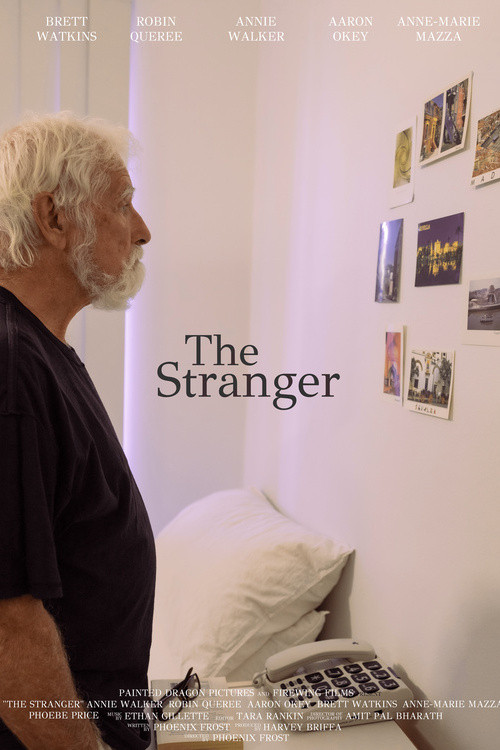 The Stranger (2022) poster