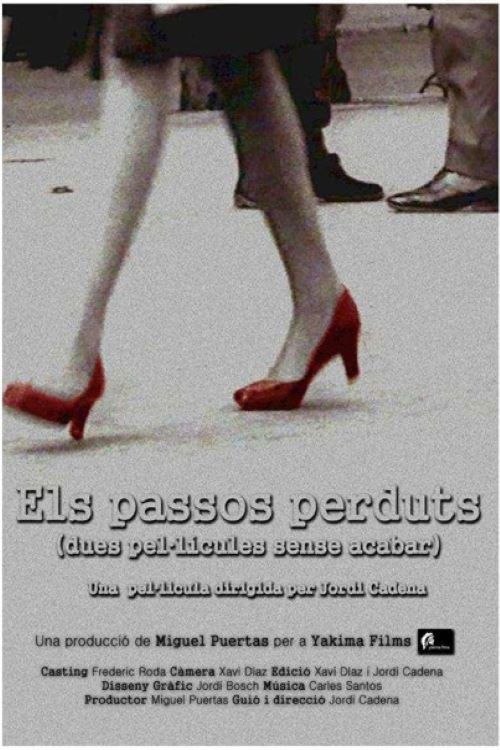 Els passos perduts (2010) poster