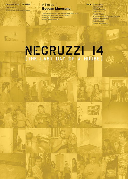 Negruzzi 14 (2016) poster