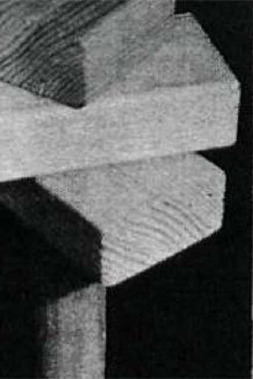 The Pioneer (1974) poster