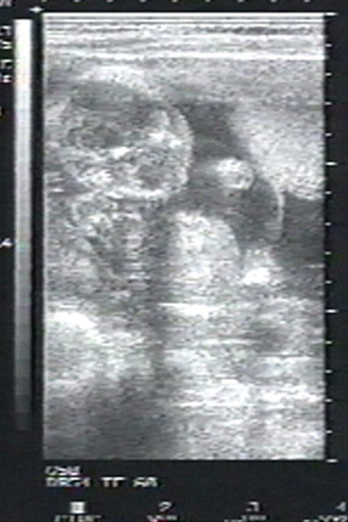 Sea of Time (1993) poster