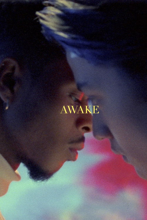Awake (2021) poster