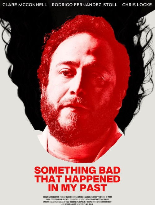 Something Bad That Happened in My Past (2025) poster