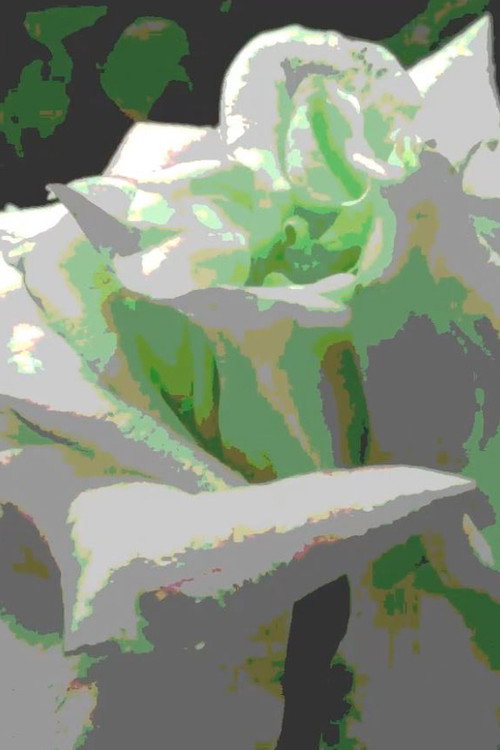 Rosoideae (2018) poster