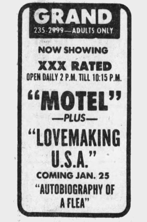 Lovemaking U.S.A. (1971) poster