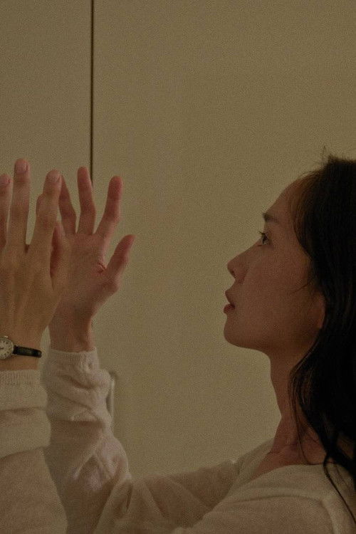 Two Voices into an Echo (2025) poster