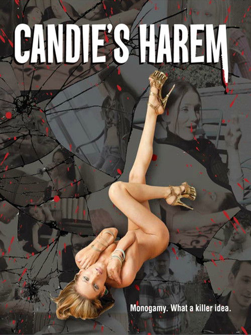 Candie's Harem (2015) poster