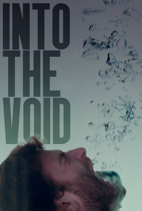 Into the Void (2024) poster