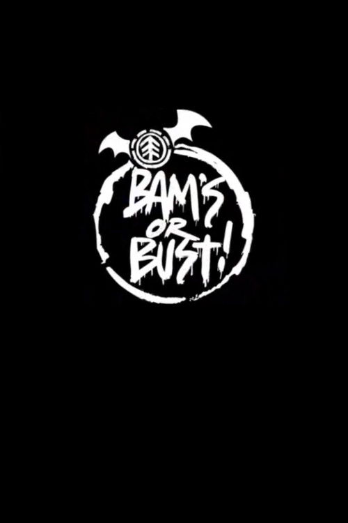 Bam's or Bust! (2008) poster