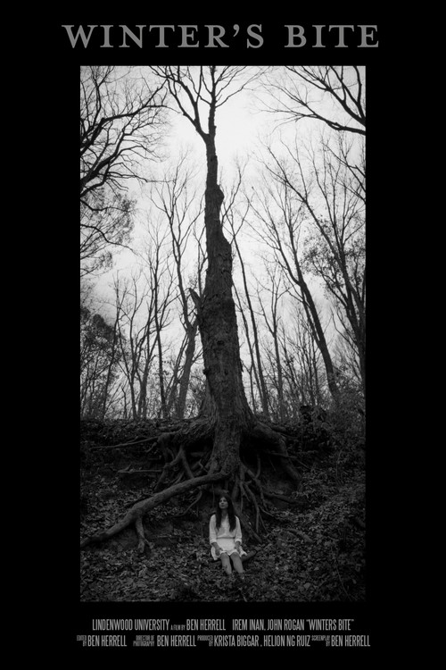 Winter's Bite (2022) poster