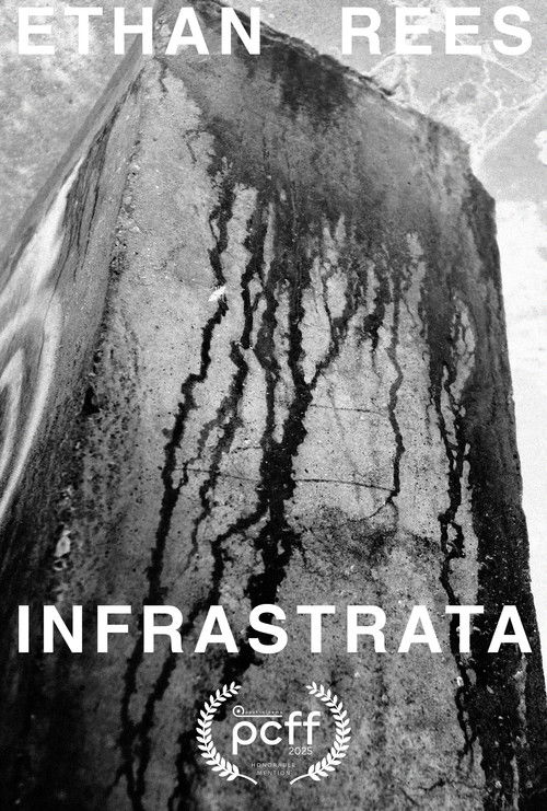 INFRASTRATA (2024) poster