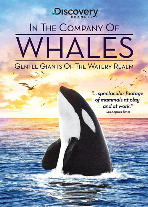 In the Company of Whales (1991) poster