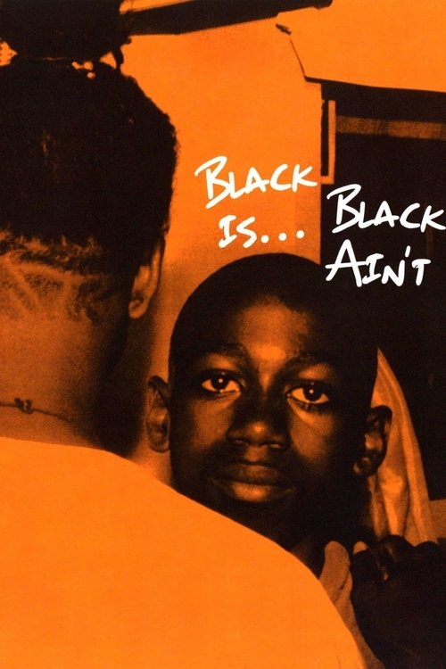 Black Is… Black Ain’t (1995) poster
