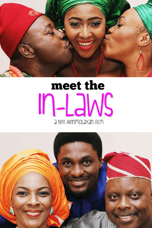Meet The in-Laws (2016) poster