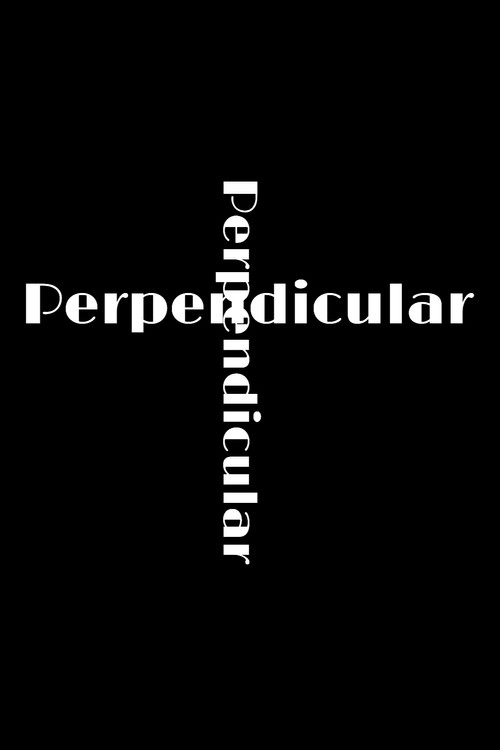 Perpendicular (2025) poster