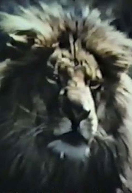 The Veldt (1979) poster