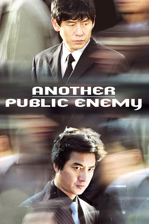 Another Public Enemy (2005) poster