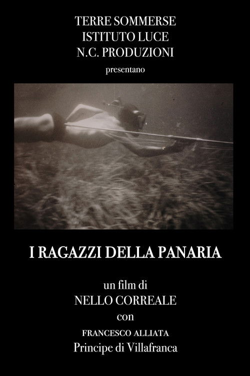 I ragazzi della Panaria (2004) poster