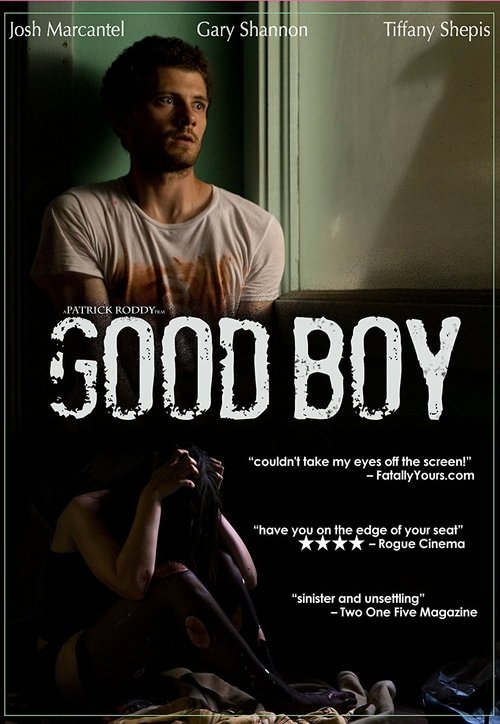 Good Boy (2010) poster