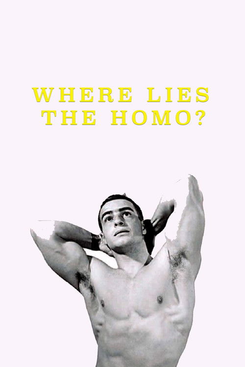 Where Lies the Homo? (1999) poster