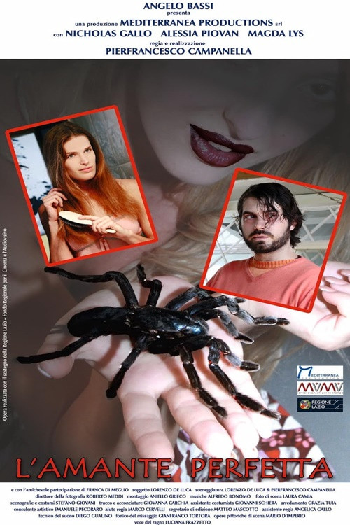 L'amante perfetta (2017) poster