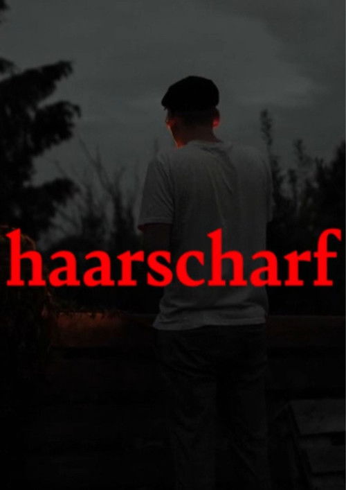 haarscharf (2022) poster