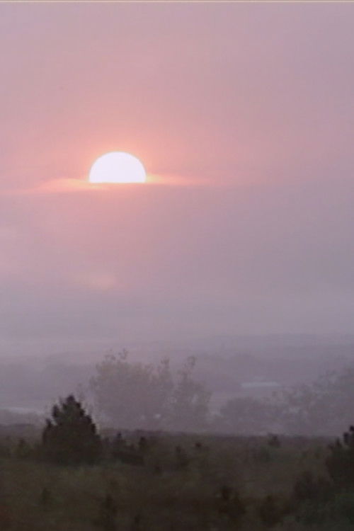 Who Gets to Fly (2025) poster