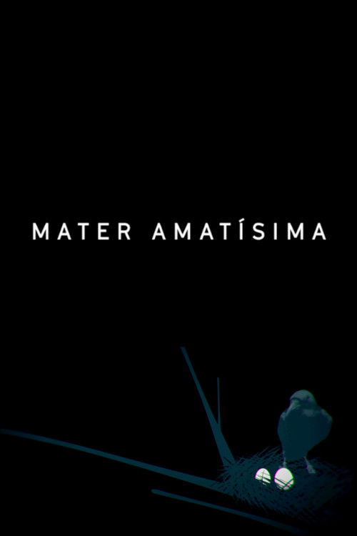 Mater Amatisima (2017) poster