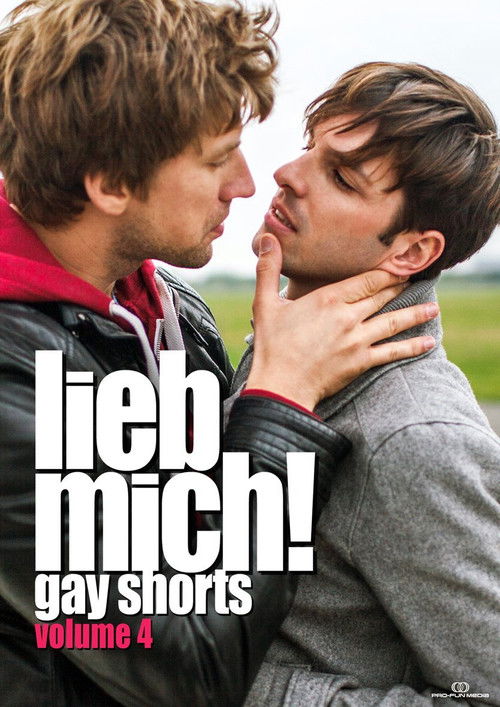 LIEB MICH! - Gay Shorts Volume 4 (2014) poster