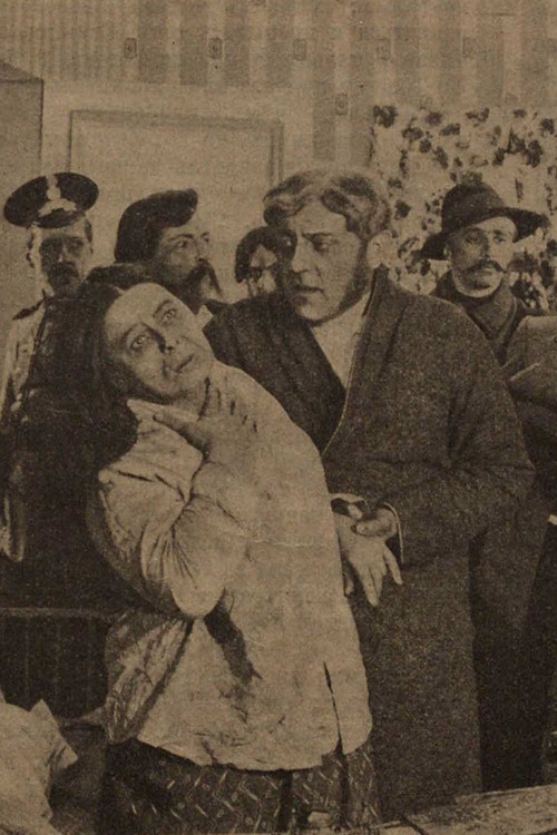 The Man from the Restaurant (1916) poster