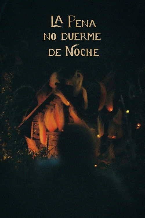 La pena no duerme de noche (2025) poster