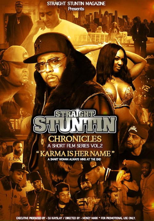 Straight Stuntin Chronicles: Volume 2 - Karma Is Her Name (2016) poster