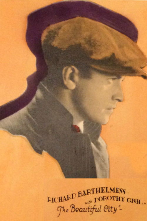 The Beautiful City (1925) poster