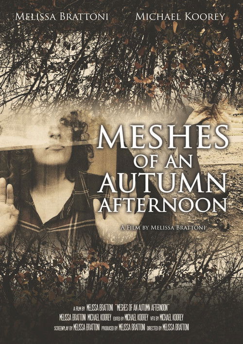 Meshes of an Autumn Afternoon (2016) poster