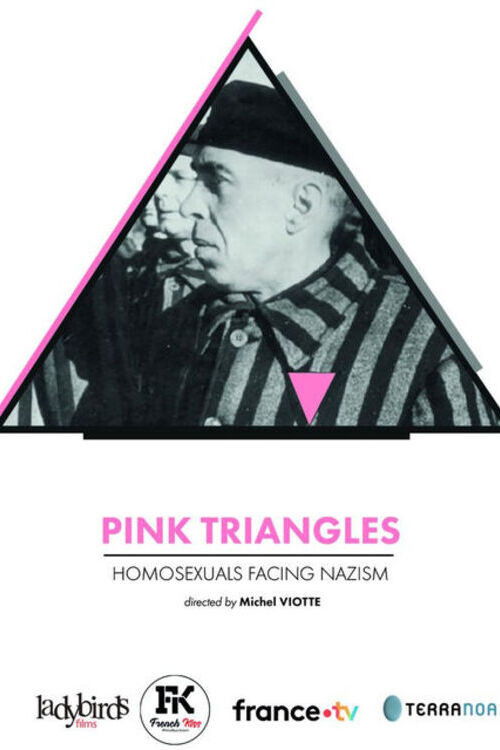 Pink Triangles, Homosexuals Facing Nazism (2024) poster