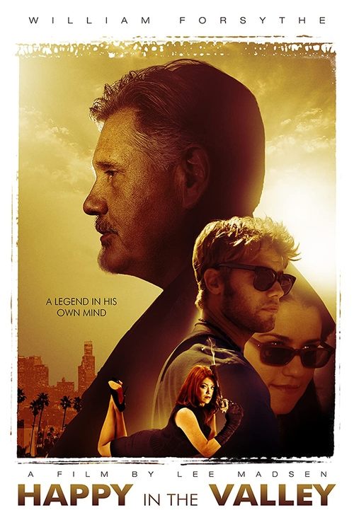 Happy in the Valley (2009) poster