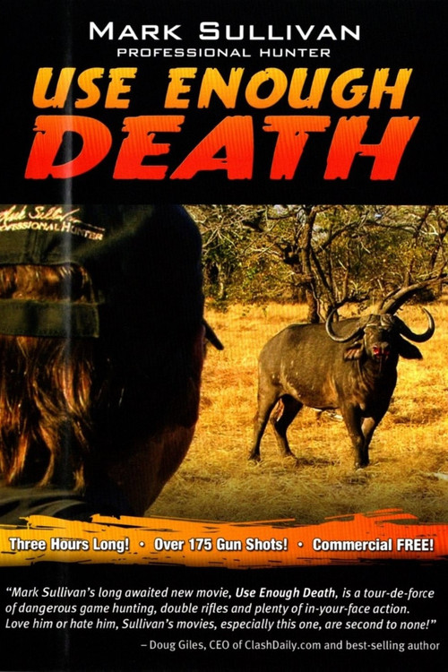 Use enough DEATH (2013) poster